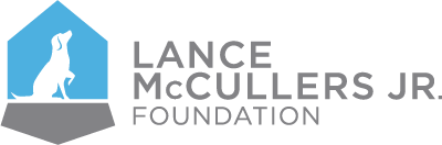 Lance McCullers Jr Foundation